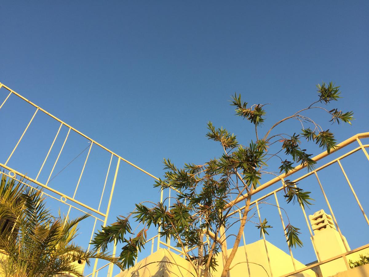 Tizwa Riad Fez